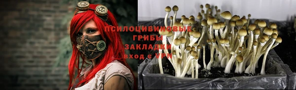 скорость Алексеевка